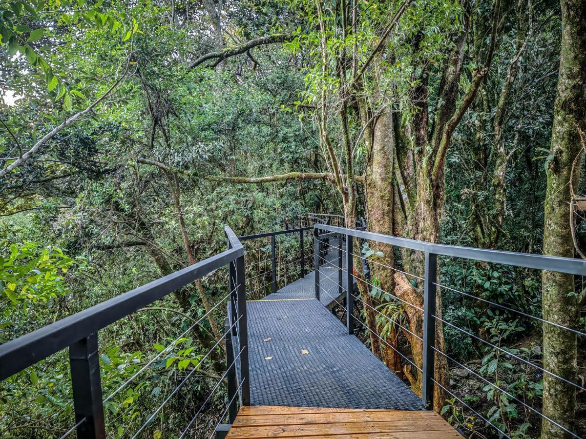 Cloud Forest Lodge By Boeena Monteverde Exterior photo